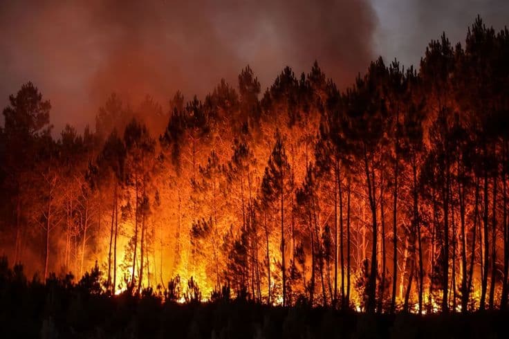 Wildfires